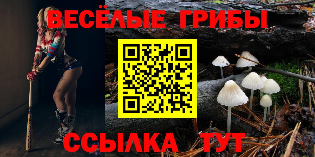 Псилоцибиновые грибы мицелий  Псилоцибиновые грибы Psilocybine cubensis  Вход с VPN  Лысьва 